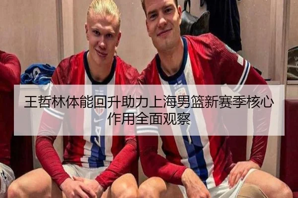 王哲林体能回升助力上海男篮新赛季核心作用全面观察